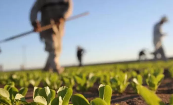 ΠτΔ: Φορέας ανάπτυξης της οικονομίας ο αγροτικός φορέας