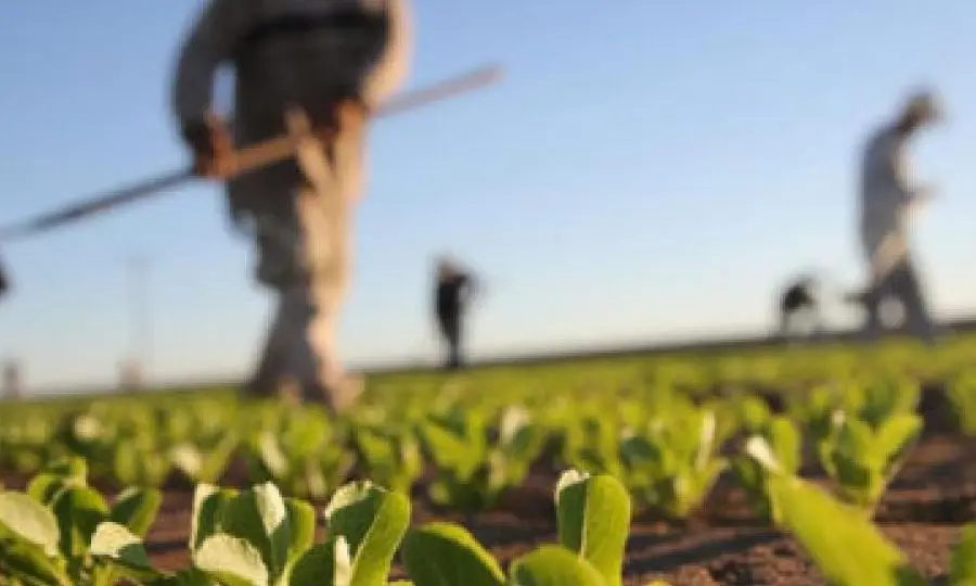 ΠτΔ: Φορέας ανάπτυξης της οικονομίας ο αγροτικός φορέας