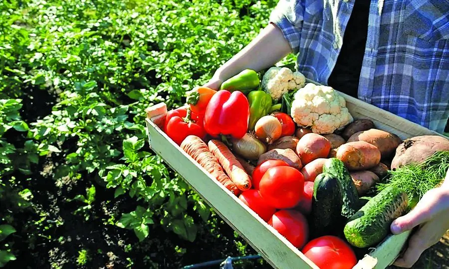 Στοχεύουν στην αυτάρκεια της Κύπρου σε γεωργικά προϊόντα
