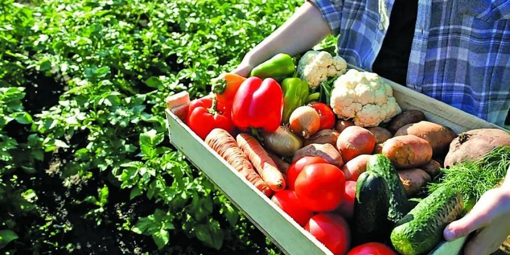 Μείωση 3,4% στις τιμές αγροτικών προϊόντων στην Κύπρο – Άνοδος στην ΕΕ