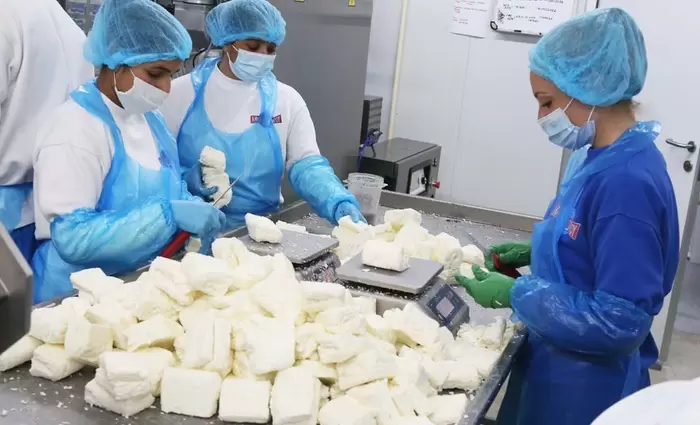 Περίοδο «Χάριτος» 5 χρόνια έλαβε η Κύπρος από Κομισιόν για το χαλλούμι