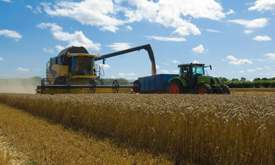 Τι συμβαίνει με τα σιτηρά στην Κύπρο - Να αναμένουμε αυξήσεις τιμών;