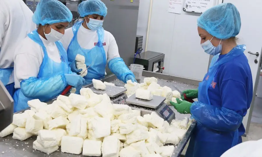 Στο μικροσκόπιο της Επιτροπής Γεωργίας το χαλλούμι