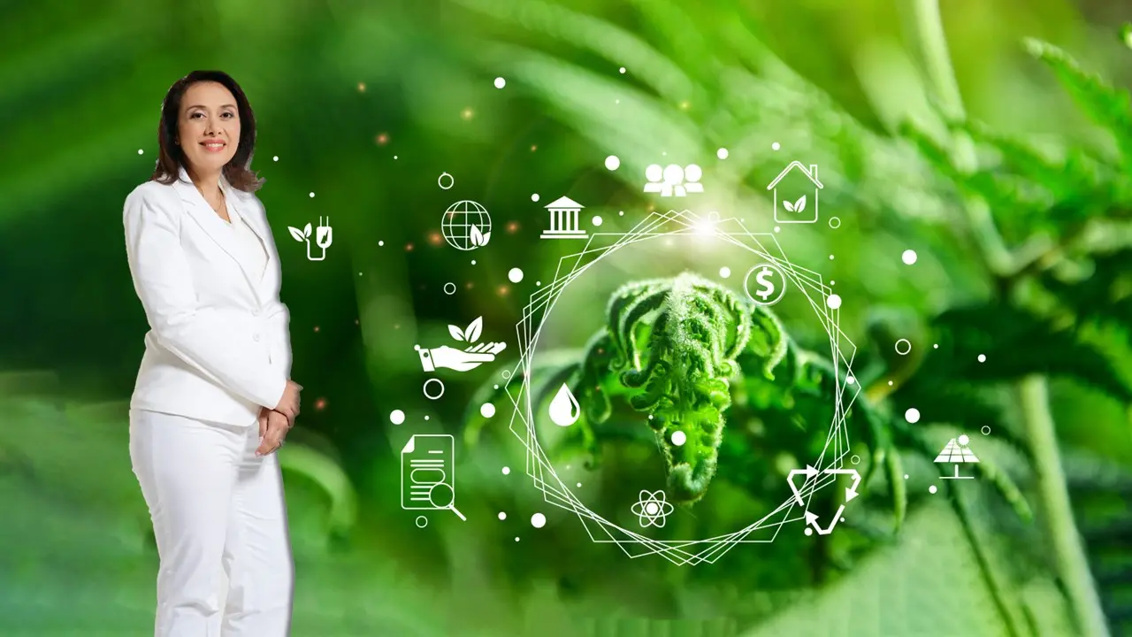 ESG και Τράπεζες: Αλληλένδετες έννοιες εν μέσω σημαντικών αλλαγών