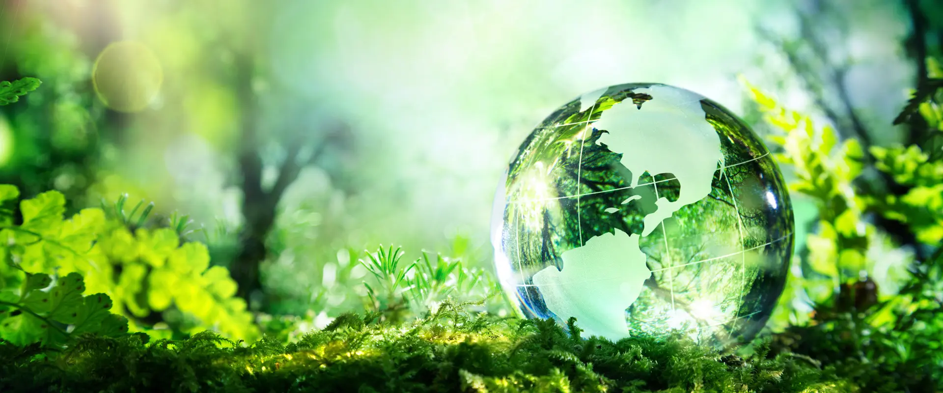 Αλλάζουν οι κανόνες για τα βιολογικά προϊόντα