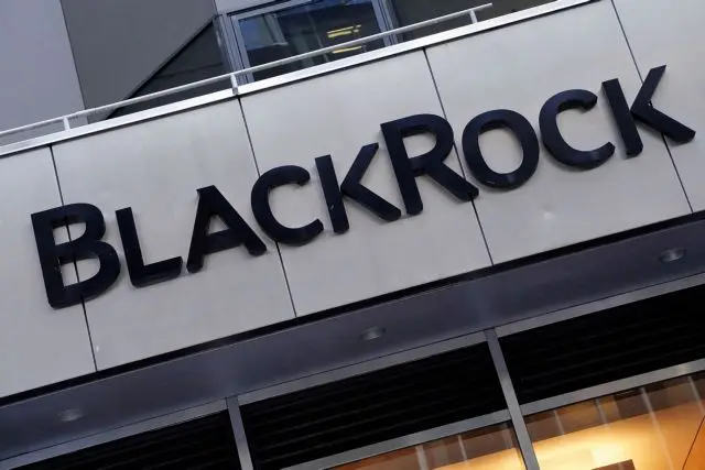 BlackRock: Πώς τα κριτήρια ESG διώχνουν τους επενδυτές