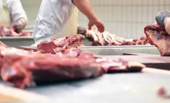 Επιθεωρήσεις σε σφαγεία στο πλαίσιο εκστρατείας για αδήλωτη εργασία