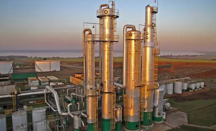 Βιοντίζελ αντί για εξαγωγές – Το βοδινό λίπος της Βραζιλίας βρίσκει νέα διέξοδο