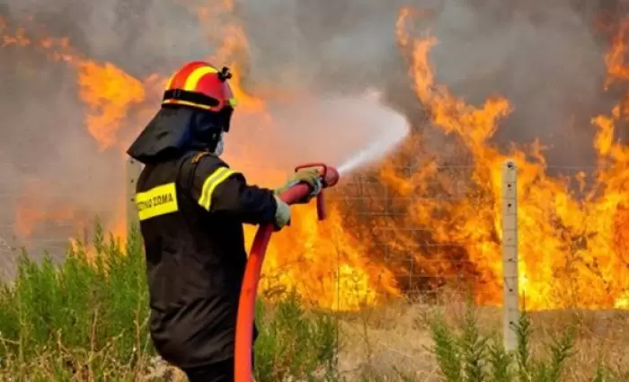 «Τσουνάμι» προσλήψεων στο Τμήμα Δασών - Ζητούνται άμεσα 108 άτομα