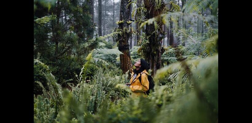 Η νέα Οδηγία CSRD θέτει τη βιωσιμότητα στα ορθά πλαίσια