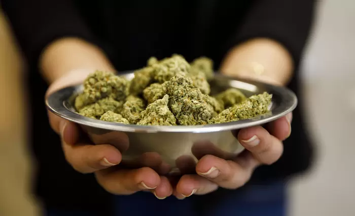 Έπεσε η εφαρμογή παράδοσης μαριχουάνας στο Black Friday της βιομηχανίας