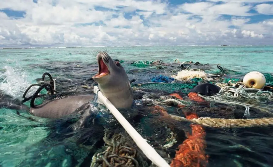 Αφαίρεσαν 40 τόνους πλαστικό από τον ωκεανό