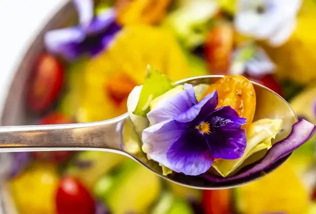 Αναδυόμενες επιχειρήσεις: Λουλούδια που τρώγονται (vid)