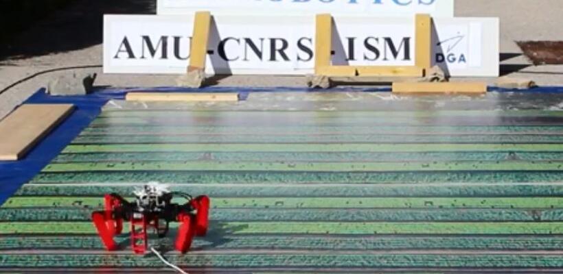 Κατασκεύασαν ρομπότ-αράχνη που δεν χρειάζεται ούτε GPS (vid)