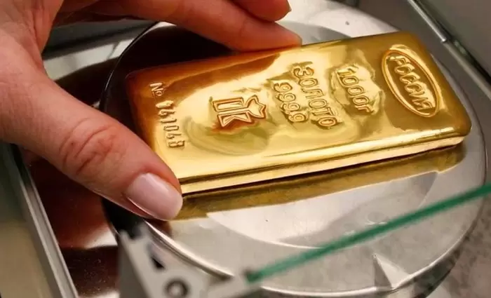 Τούρκος ΥΠΟΙΚ: Φέραμε 6,5 τόνους χρυσού στην οικονομία