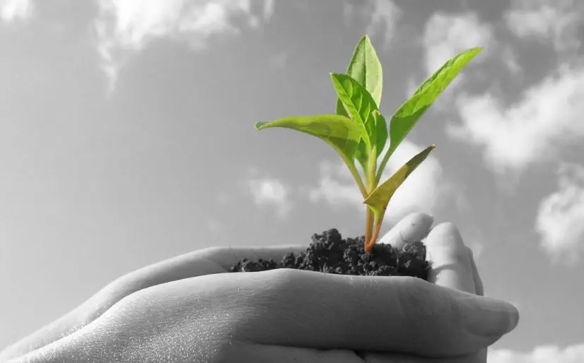 Το σχέδιο της Ευρωπαϊκής Επιτροπής για την ανάπτυξης μιας βιώσιμης βιοοικονομίας