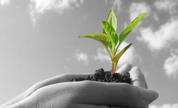 Το σχέδιο της Ευρωπαϊκής Επιτροπής για την ανάπτυξης μιας βιώσιμης βιοοικονομίας