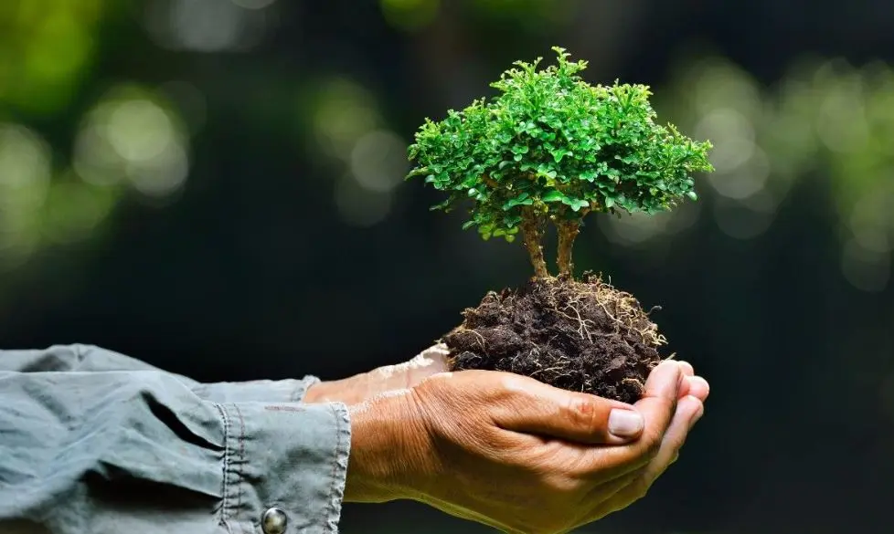 Ευρ. Οργανισμός Περιβάλλοντος: Mονόδρομος η βιώσιμη ανάπτυξη