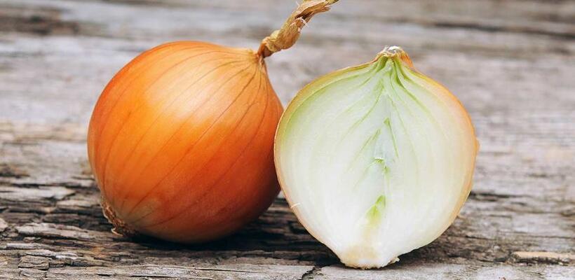 Ο τουρκικός στρατός εισβάλλει σε αποθήκες και κατάσχει για κρεμμύδια