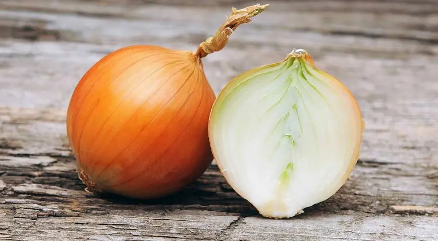 Ο τουρκικός στρατός εισβάλλει σε αποθήκες και κατάσχει για κρεμμύδια