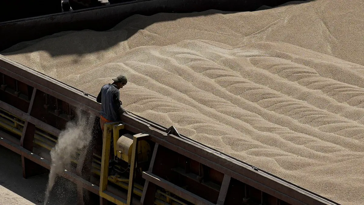 Συγκρατημένοι με τις εξαγωγές δημητριακών μέσω Μαύρης Θάλασσας
