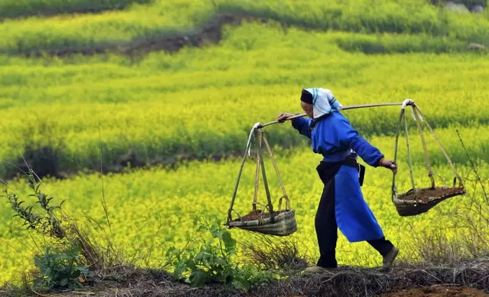 Κίνα: Κατά 4,8 φορές αυξήθηκε η αγροτική παραγωγή
