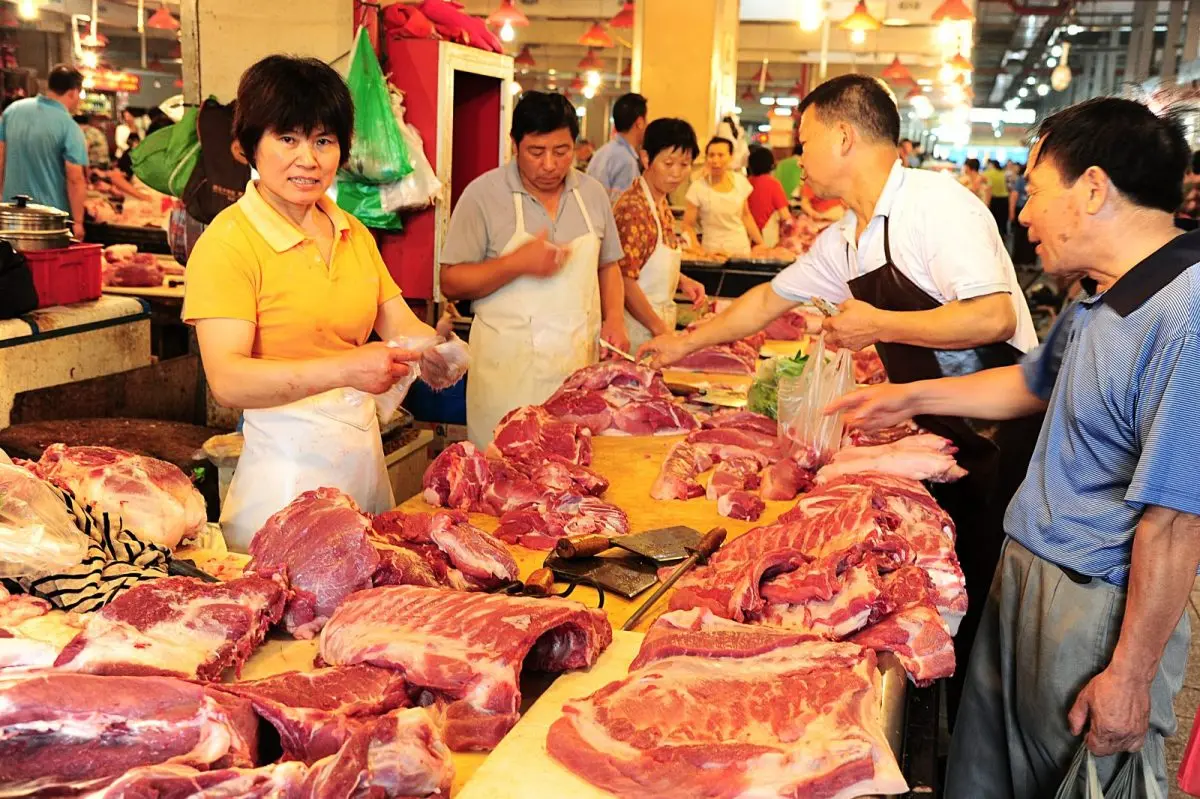 Η πρώτη κινεζική πόλη που απαγορεύει το κρέας σκύλου και γάτας