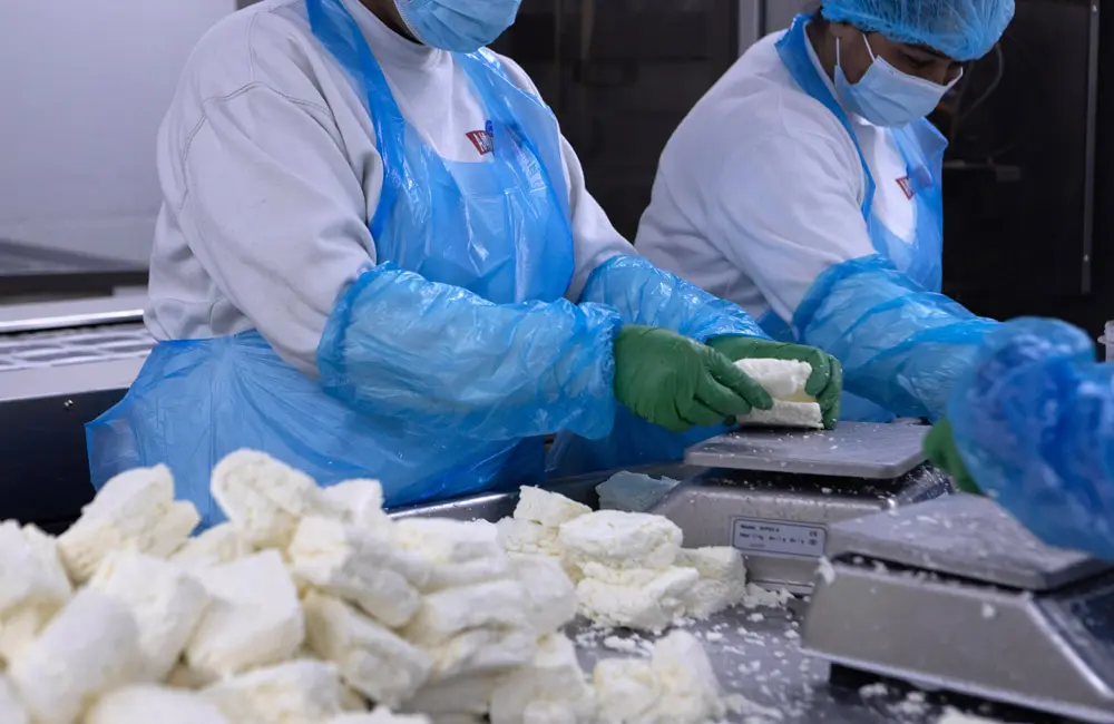 Έρχονται αυξήσεις των τιμών σε χαλλούμια και γαλακτοκομικά προϊόντα