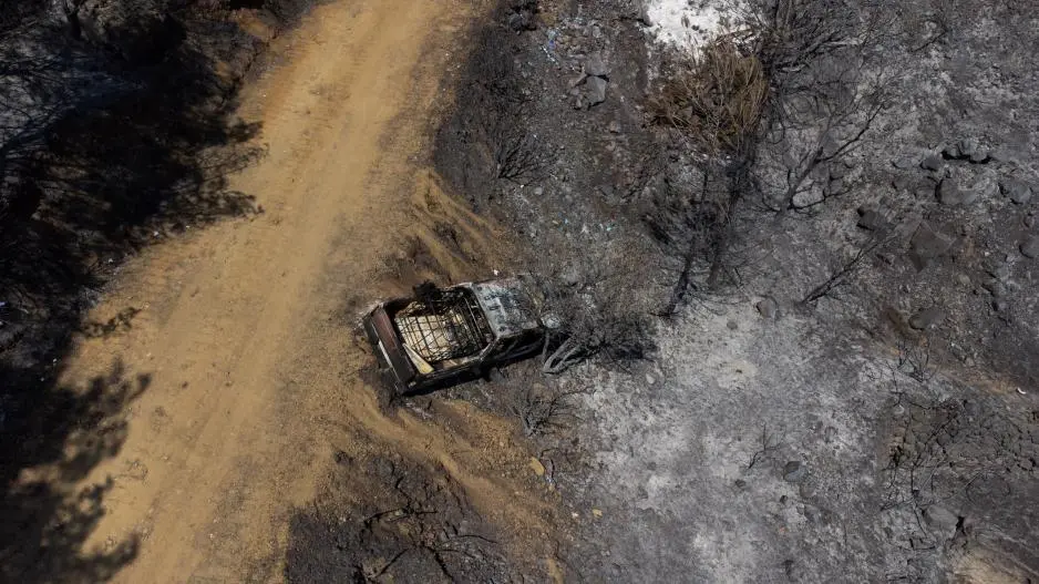 Παραχώρηση δενδρυλλίων σε μελισσοκόμους που πλήγηκαν από πυρκαγιά στον Αρακαπά