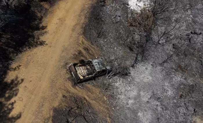 Παραχώρηση δενδρυλλίων σε μελισσοκόμους που πλήγηκαν από πυρκαγιά στον Αρακαπά