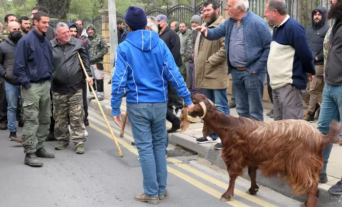 Ο ΚΟΑΠ έχει καταβάλει τα ποσά ενίσχυσης στους αιγοπροβατοτρόφους