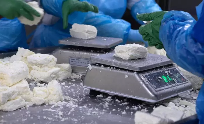 Καμπανάκι αγελαδοτρόφων για χαλλούμι - Ζητούν συνάντηση με ΠτΔ