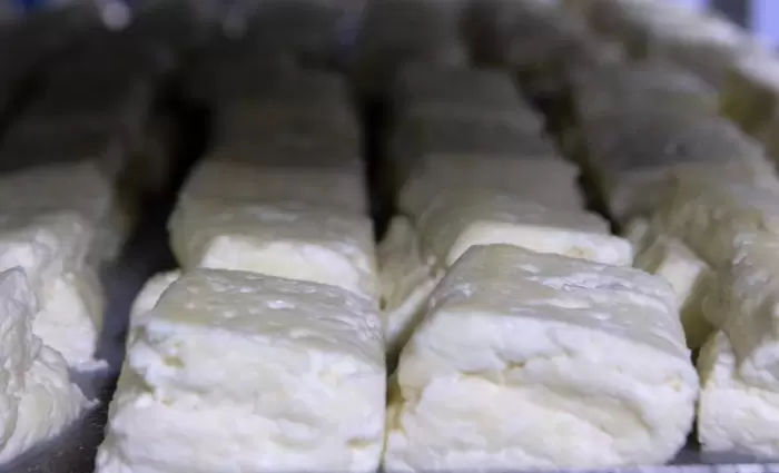 Σχεδόν όλα έτοιμα για το «χαλούμι ΠΟΠ» (ΒΙΝΤΕΟ)