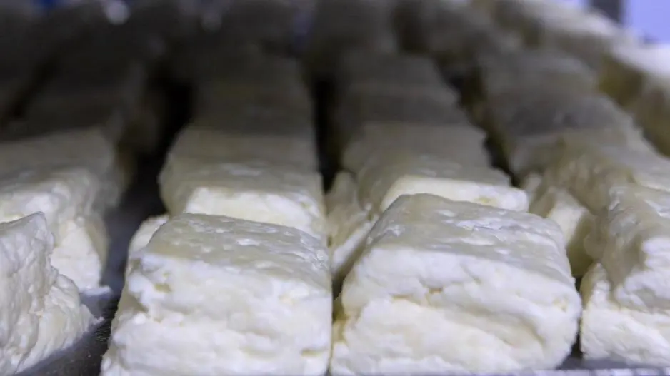 Σχεδόν όλα έτοιμα για το «χαλούμι ΠΟΠ» (ΒΙΝΤΕΟ)