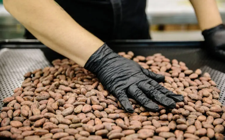 Κακάο: Σε έξαρση το λαθρεμπόριο λόγω των υψηλών τιμών - Ανησυχούν οι έμποροι