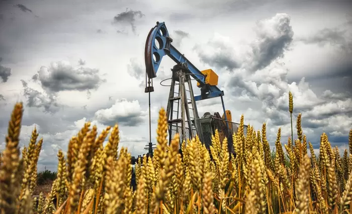 Εμπορεύματα: Oι προβλέψεις για τις τιμές και 5 γραφήματα – κλειδιά (πίνακες)