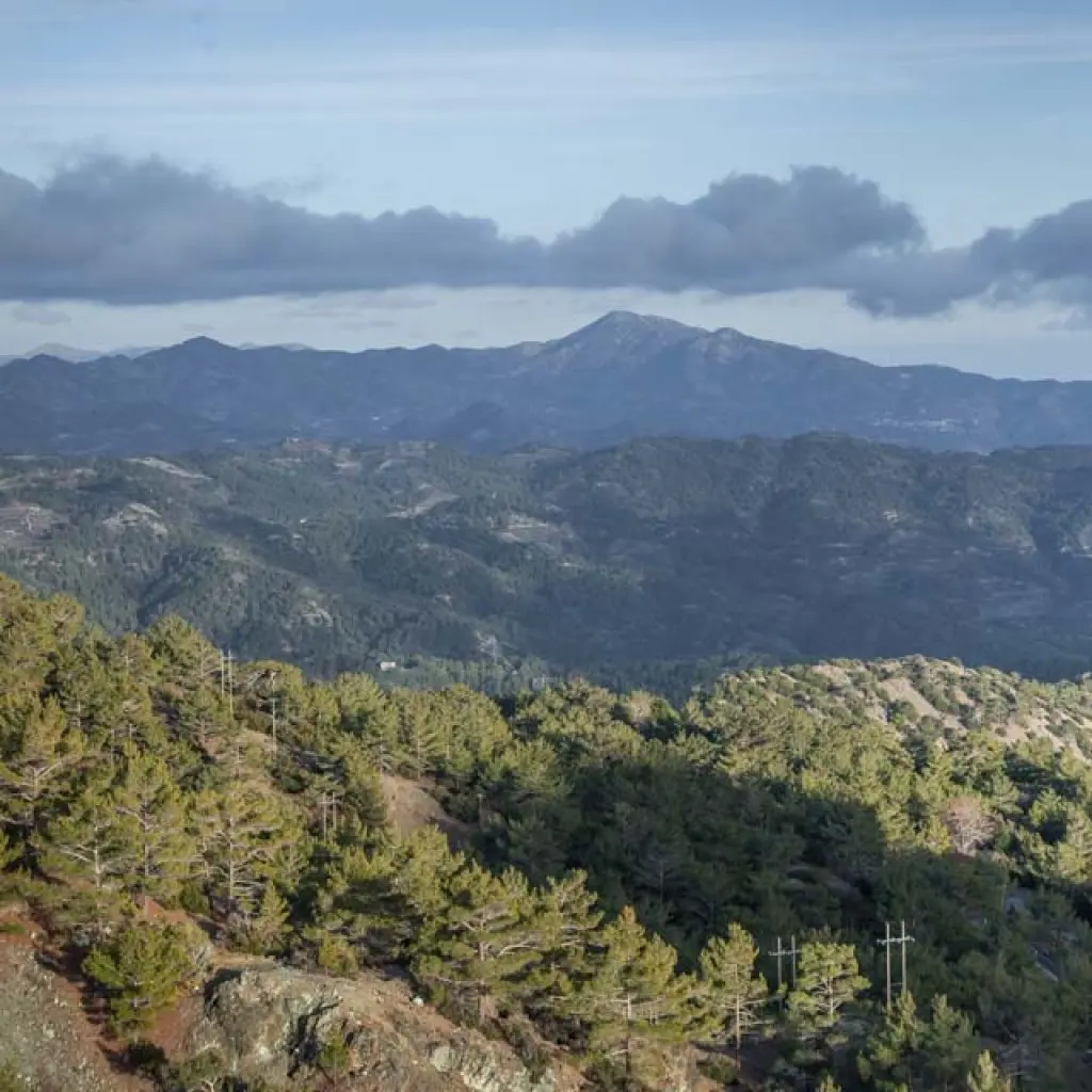 28 Κενές Θέσεις Δασικού Λειτουργού