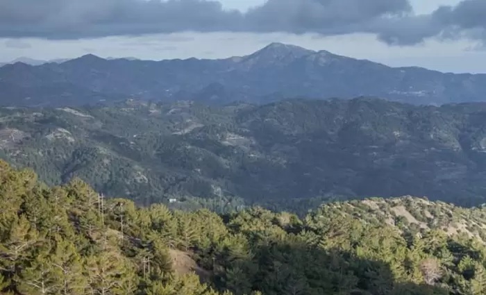 28 Κενές Θέσεις Δασικού Λειτουργού