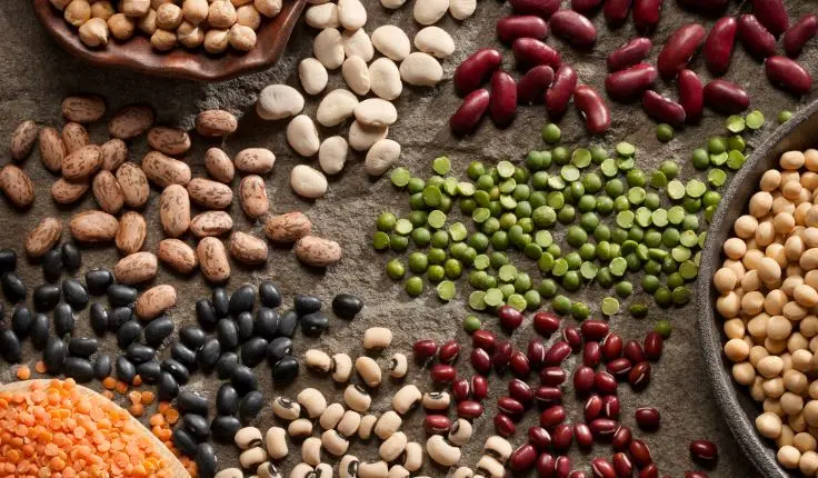 Έρευνα: Ό,τι κάνει  καλό στην υγεία κάνει καλό και στον πλανήτη