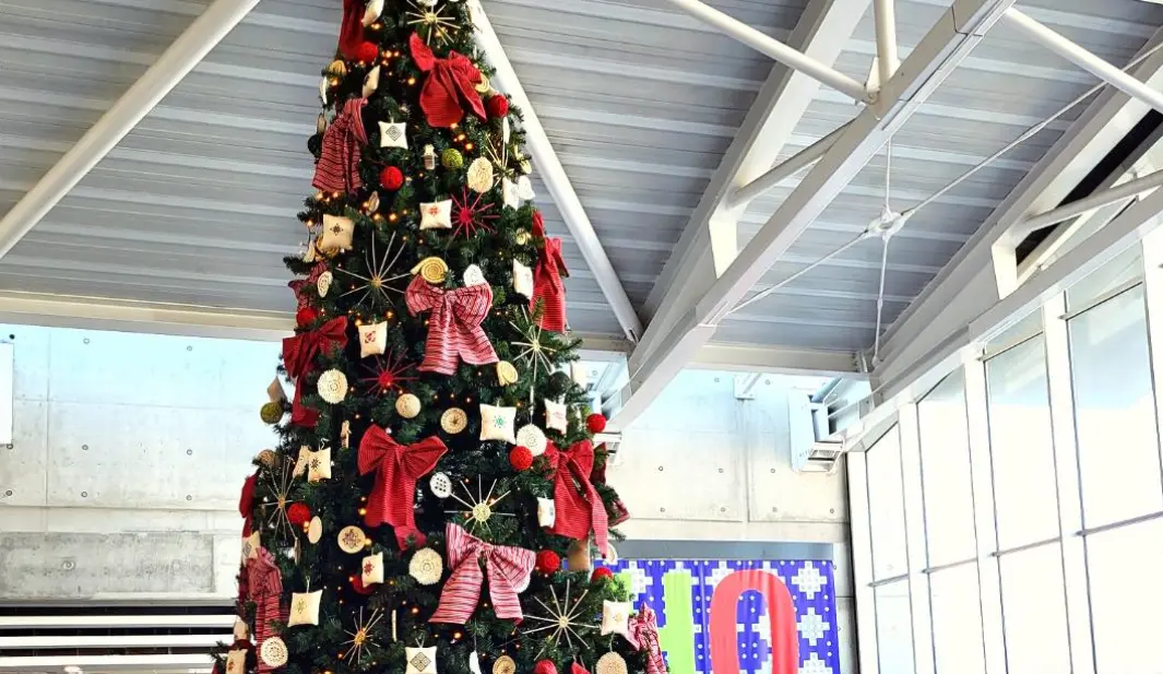 Με λευκαρίτικα στα δέντρα υποδέχονται τους τουρίστες που φθάνουν στην Κύπρο