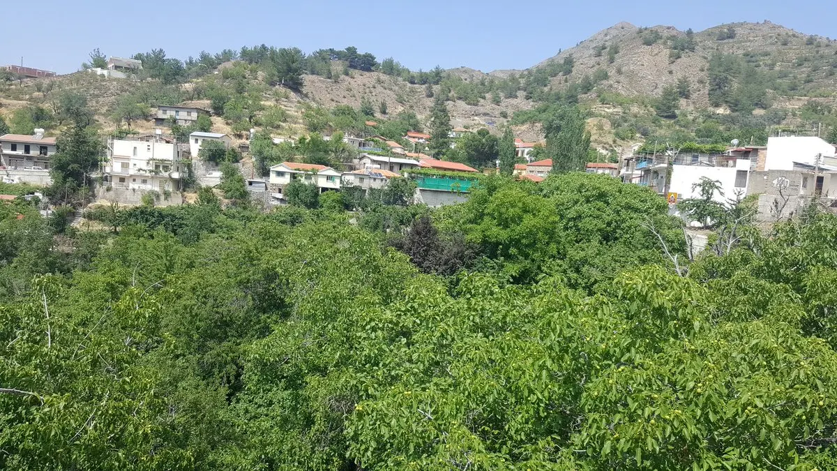 Φεστιβάλ Φουντουκιού στην Πλατανιστάσα