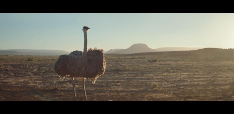 Διαφήμιση της Samsung Electronics κέρδισε Δεκατρία Βραβεία