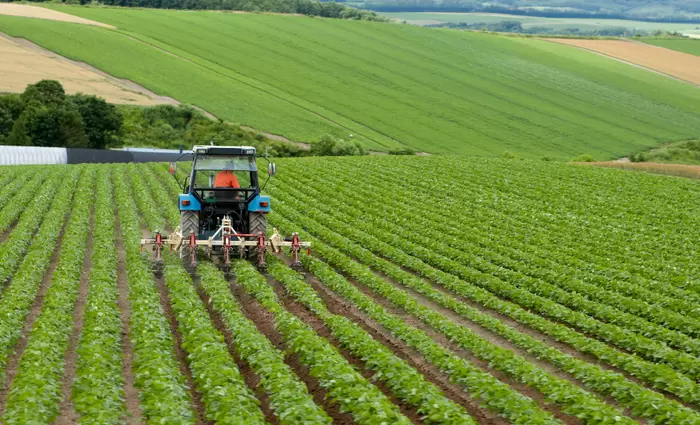 Tέσσερα μέτρα για ενθάρρυνση της γυναικείας επιχειρηματικότητας στον αγροτικό τομέα