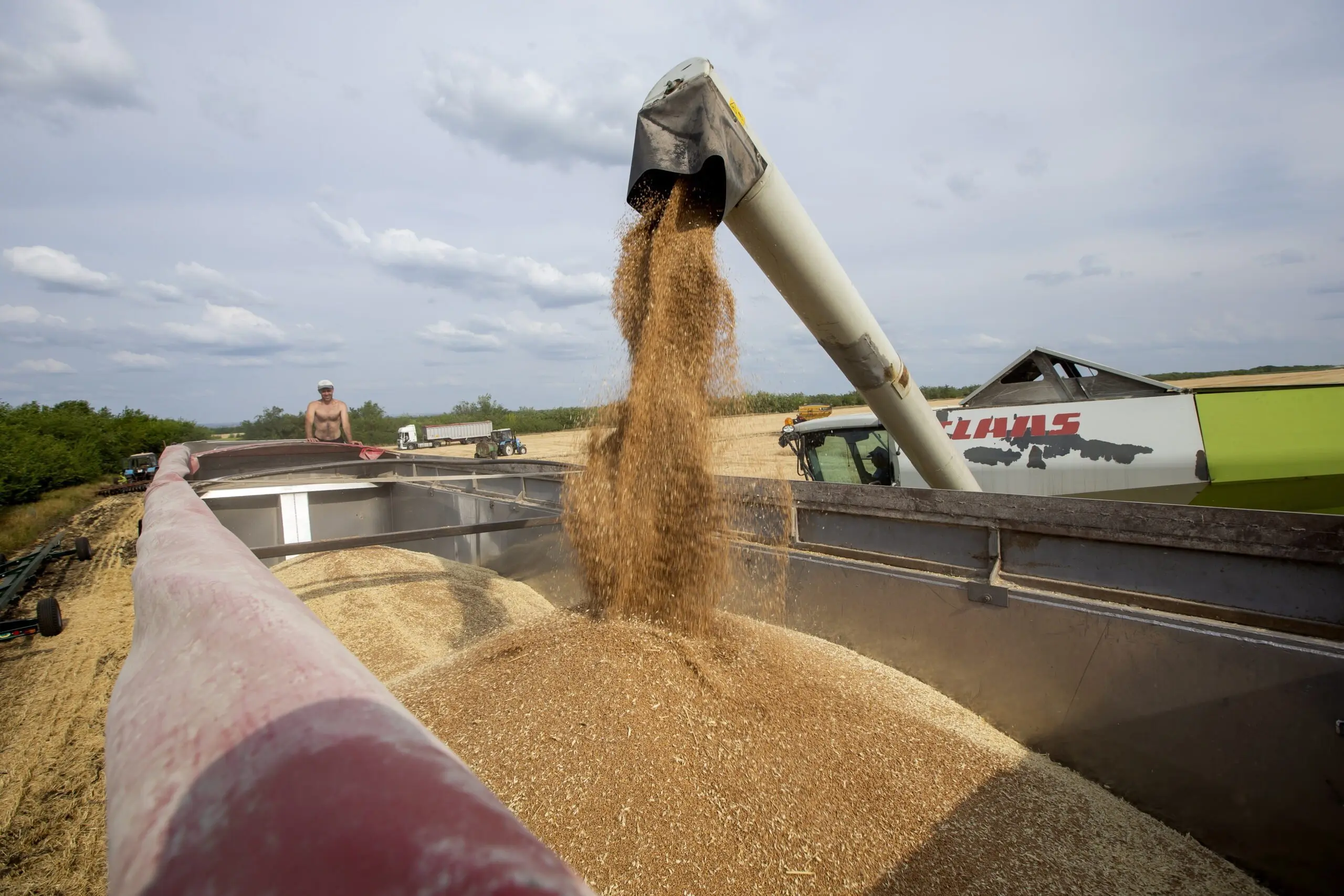 Πέντε κράτη μέλη διαβουλεύονται για εισαγωγές ουκρανικών προϊόντων