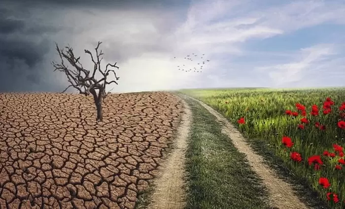 Χτυπημένο το σπίτι, καλά τα θεμέλια