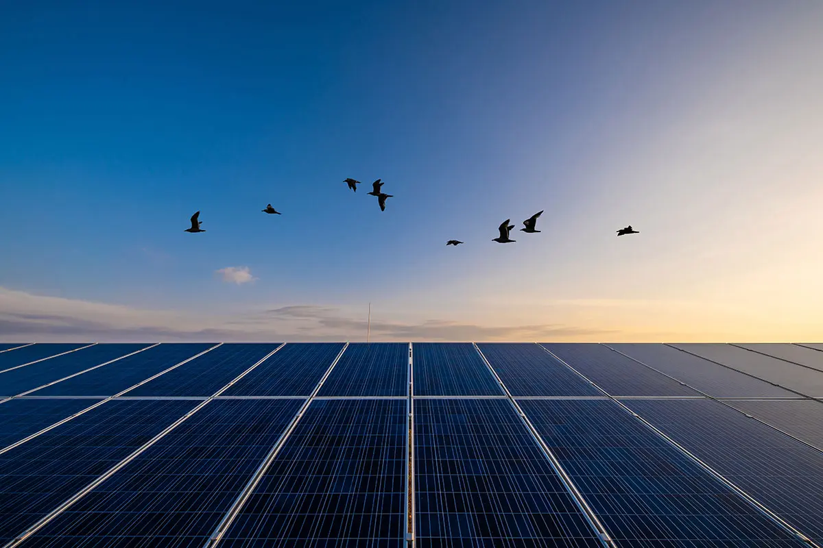 Οι καταναλωτές παγκοσμίως ζητούν από τις επιχειρήσεις δράση για βιωσιμότητα