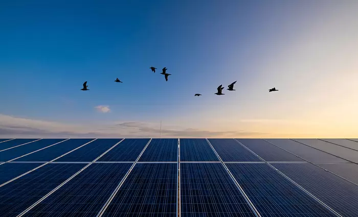 Οι καταναλωτές παγκοσμίως ζητούν από τις επιχειρήσεις δράση για βιωσιμότητα