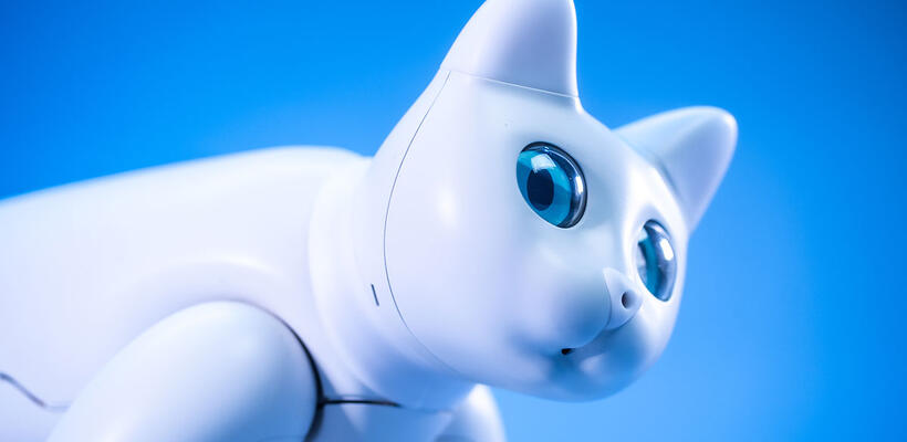 Αυτή είναι η πρώτη γάτα-ρομπότ με πραγματική συμπεριφορά (vid)