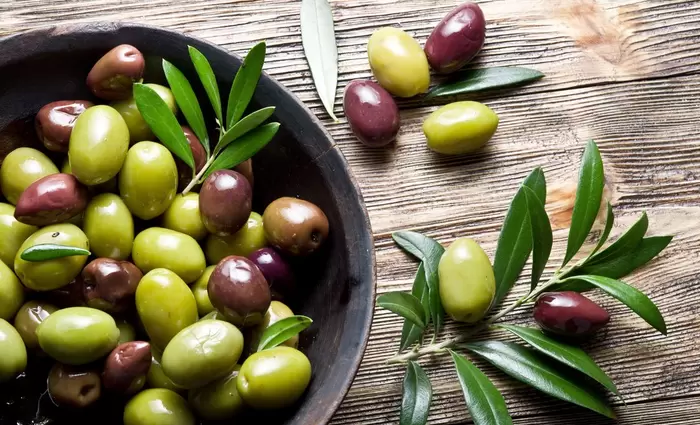 Στην Κύπρο η συνεδρία της Συμβουλευτικής Επιτροπής Διεθνούς Συμβουλίου Ελαίας