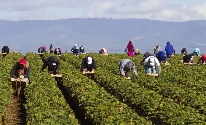 Στο μεταναστευτικό εντοπίζει την «πηγή του κακού» της αδήλωτης εργασίας ο Παναγιώτου